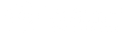 CSS logo